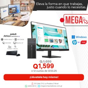 HP Compaq 6005 MT AMD Athlon II 8GB RAM, 256GB SSD, Monitor 22 Pulgadas, Mouse y Teclado